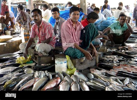 bengal fish bangladesh - best fish market online dhaka photos